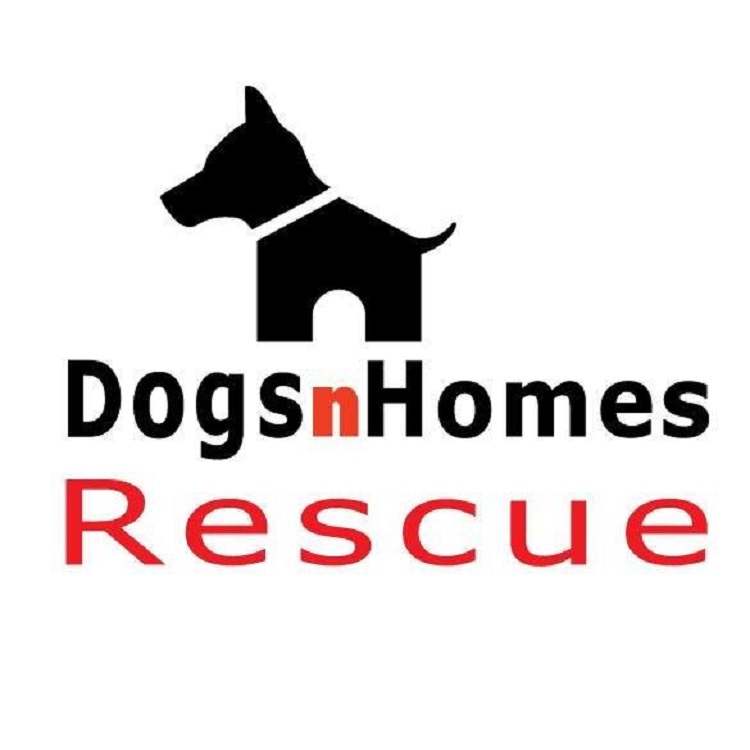 DogsnHomes